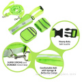Dog Lead Walk Running Jogging Waist Belt Leash